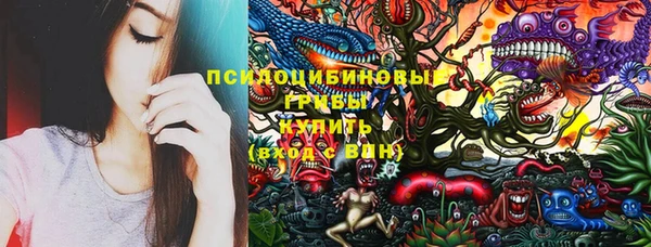 гашик Алексеевка