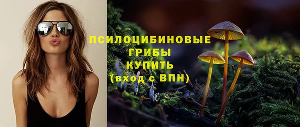бошки Алексин